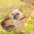 Durable Pet Leash for Daily Walks