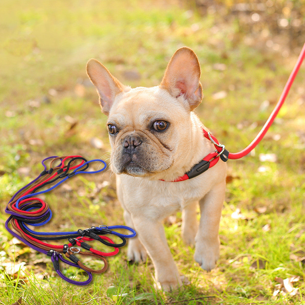 Durable Pet Leash for Daily Walks