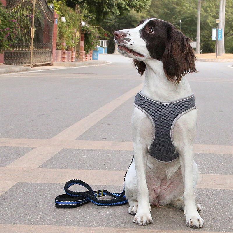 Adjustable Dog Harness Vest