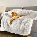 Affordable Dog Bed