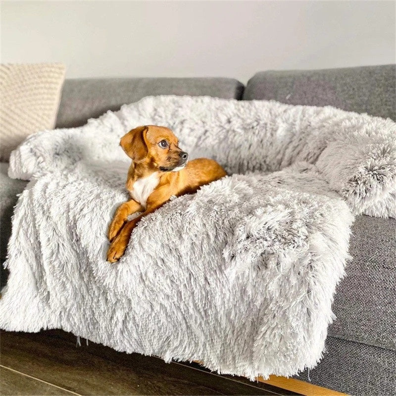 Affordable Dog Bed